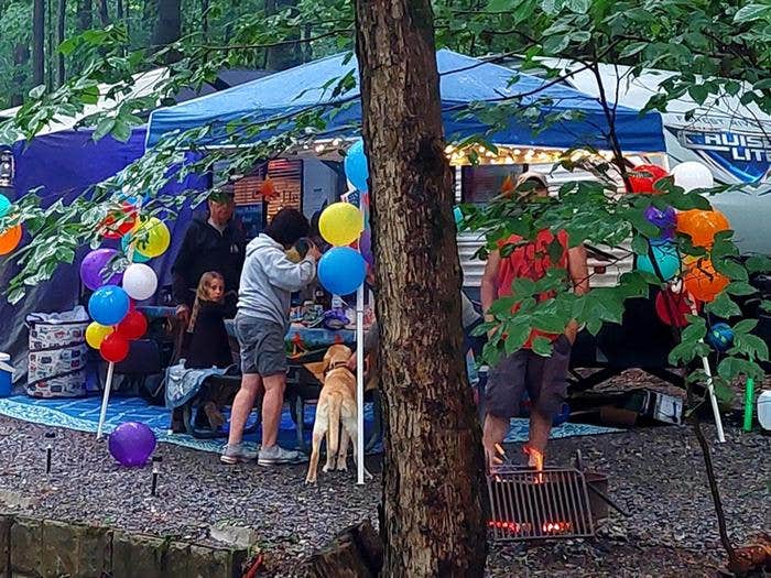 Camper submitted image from East Branch Campground — East Branch Clarion River Lake - 1