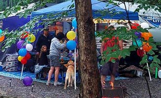 The Dyrt's photo of camping with pets at East Branch Campground — East Branch Clarion River Lake near Clearfield, PA