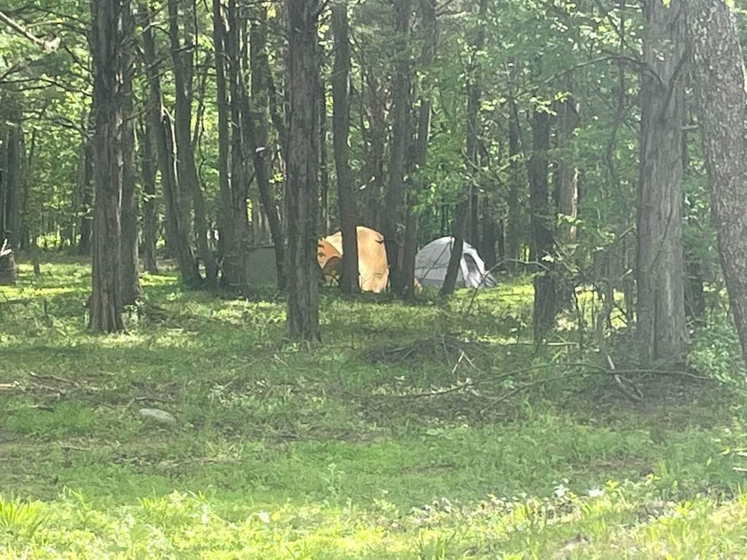 Samantha's photo of tent camping at Redfern near Signal Mountain, TN