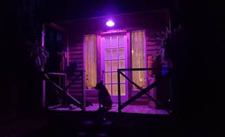 Samantha's photo of camping with pets at Redfern near Whiteside, TN