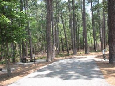 Camper submitted image from Cagle Recreation Area - 3