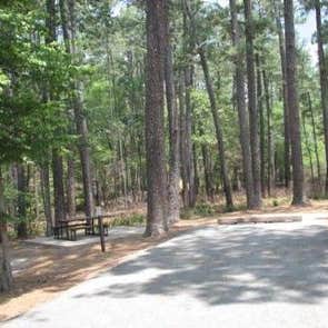 Cagle Recreation Area Camping | The Dyrt