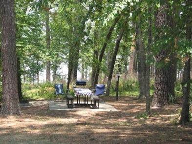 Cagle Recreation Area Camping | New Waverly, TX | The Dyrt