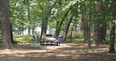 Cagle Recreation Area Camping | New Waverly, TX | The Dyrt