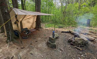 Matt V.'s photo of a dispersed camping area at Peninsula Trail near Brownstown, IN