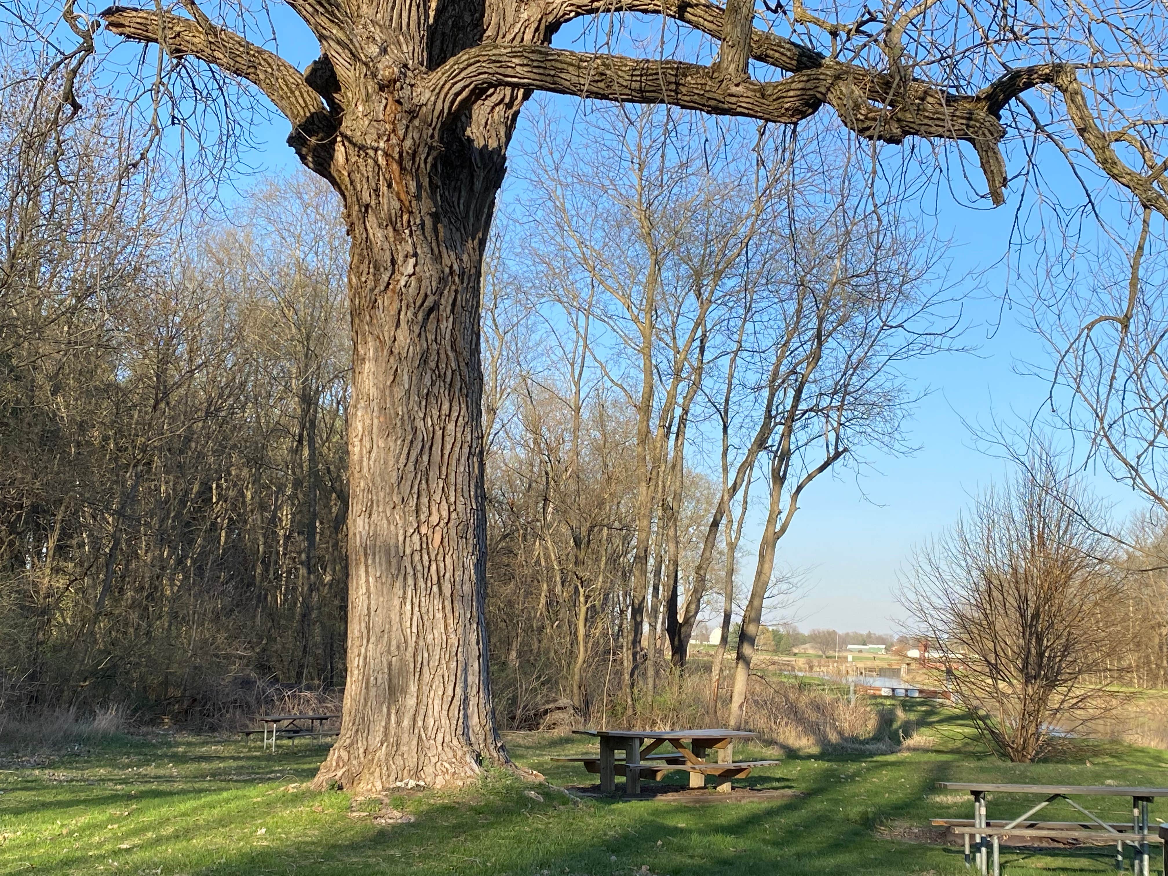 Camper-submitted photo at Hennepin Canal Lock 21 Campground near Princeton, IL