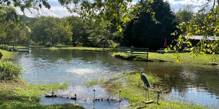 Camper submitted image from Persimmon Creek RV Park in Murphy NC