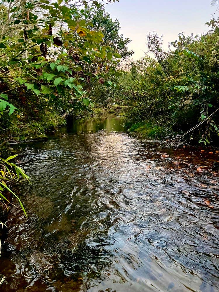 Camper submitted image from Persimmon Creek RV Park in Murphy NC - 2