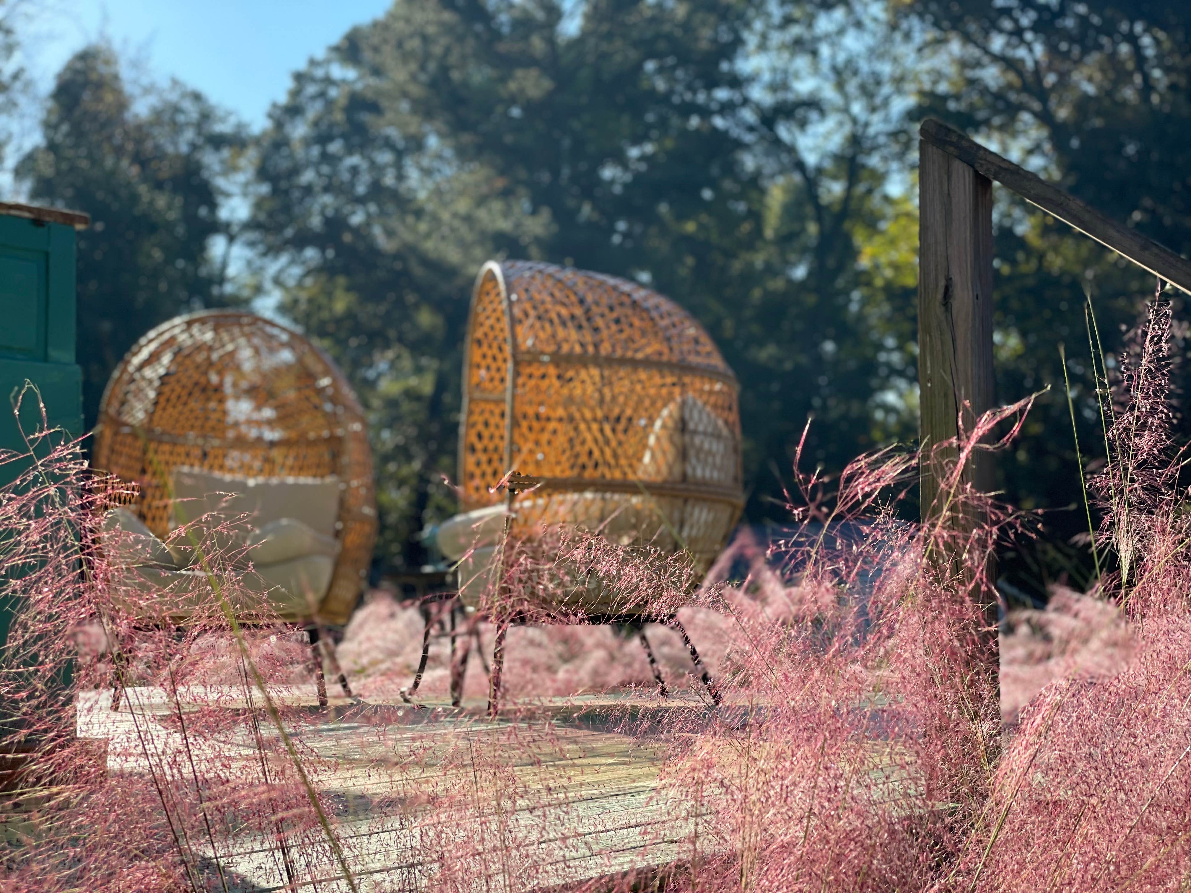 Camper-submitted photo at The Washington Grass Inn near Greensboro, GA
