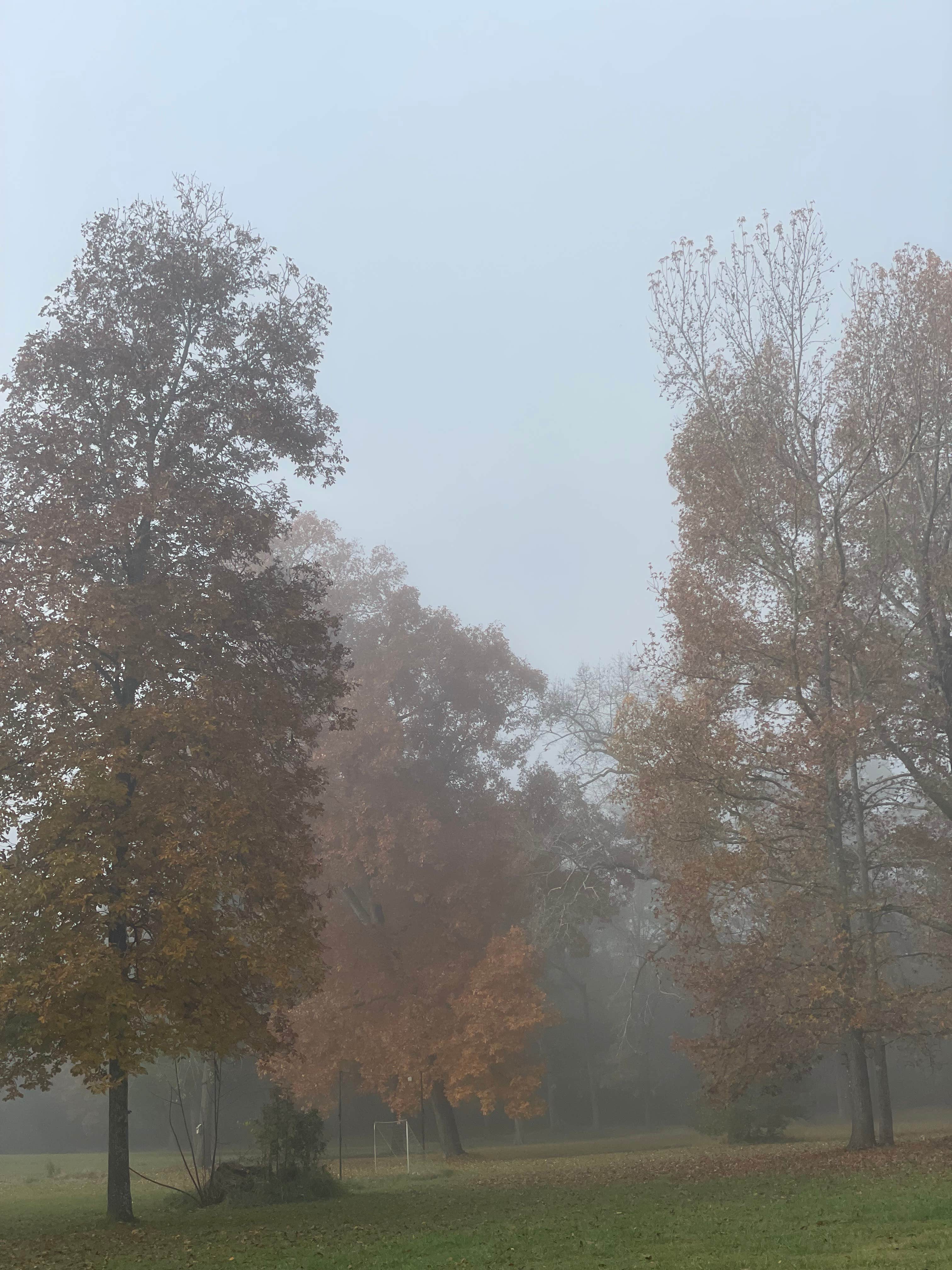 Camper-submitted photo at The Washington Grass Inn near Greensboro, GA