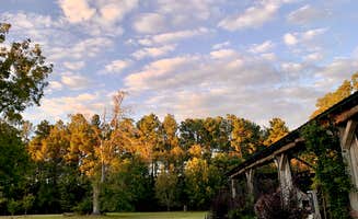 Cason S.'s photo of camping with pets at The Washington Grass Inn in Georgia