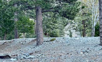 Michelle W.'s photo of camping with pets at Manker Campground near Hesperia, CA