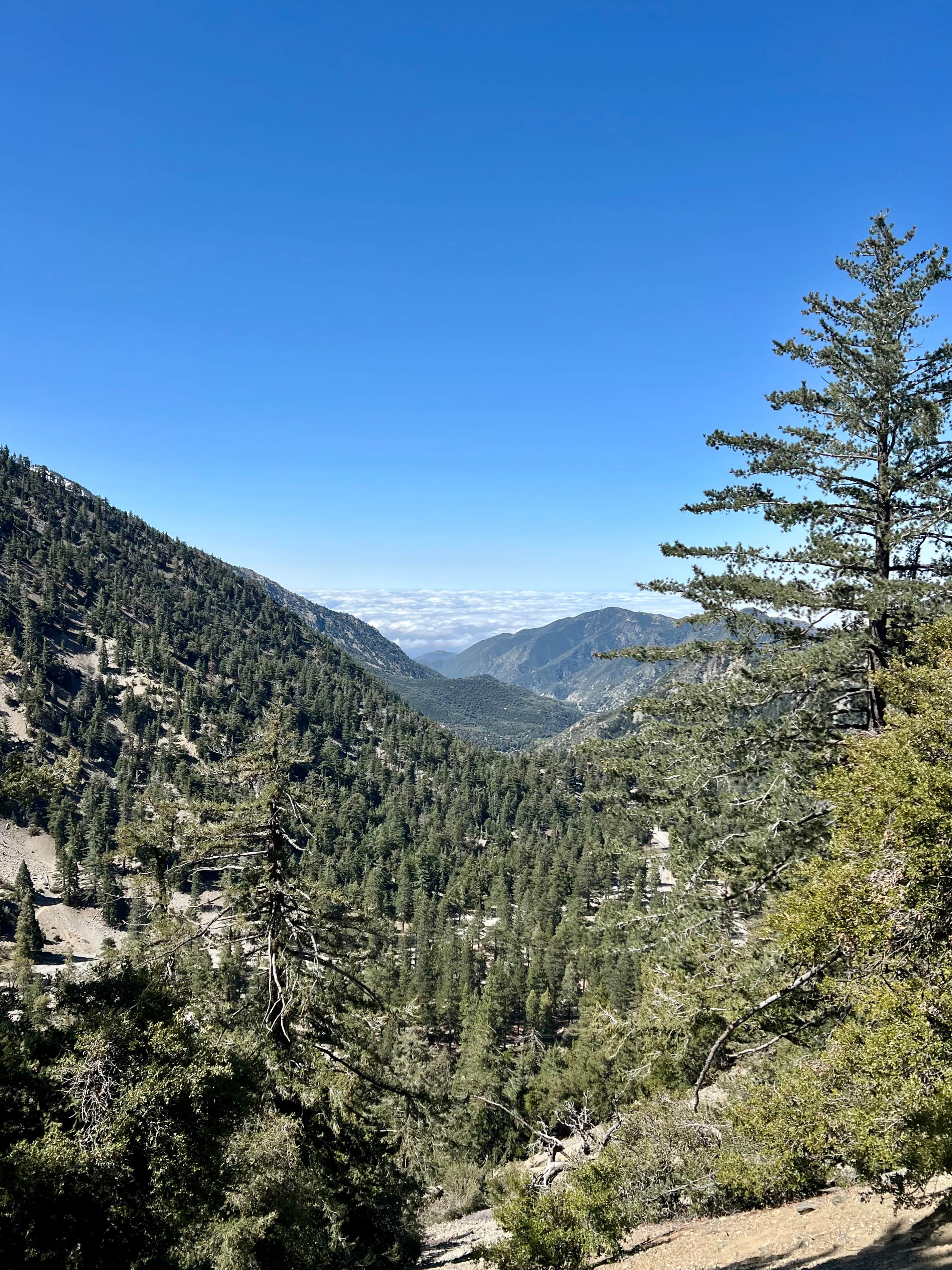 Camper-submitted photo at Manker Campground near Mount Baldy, CA