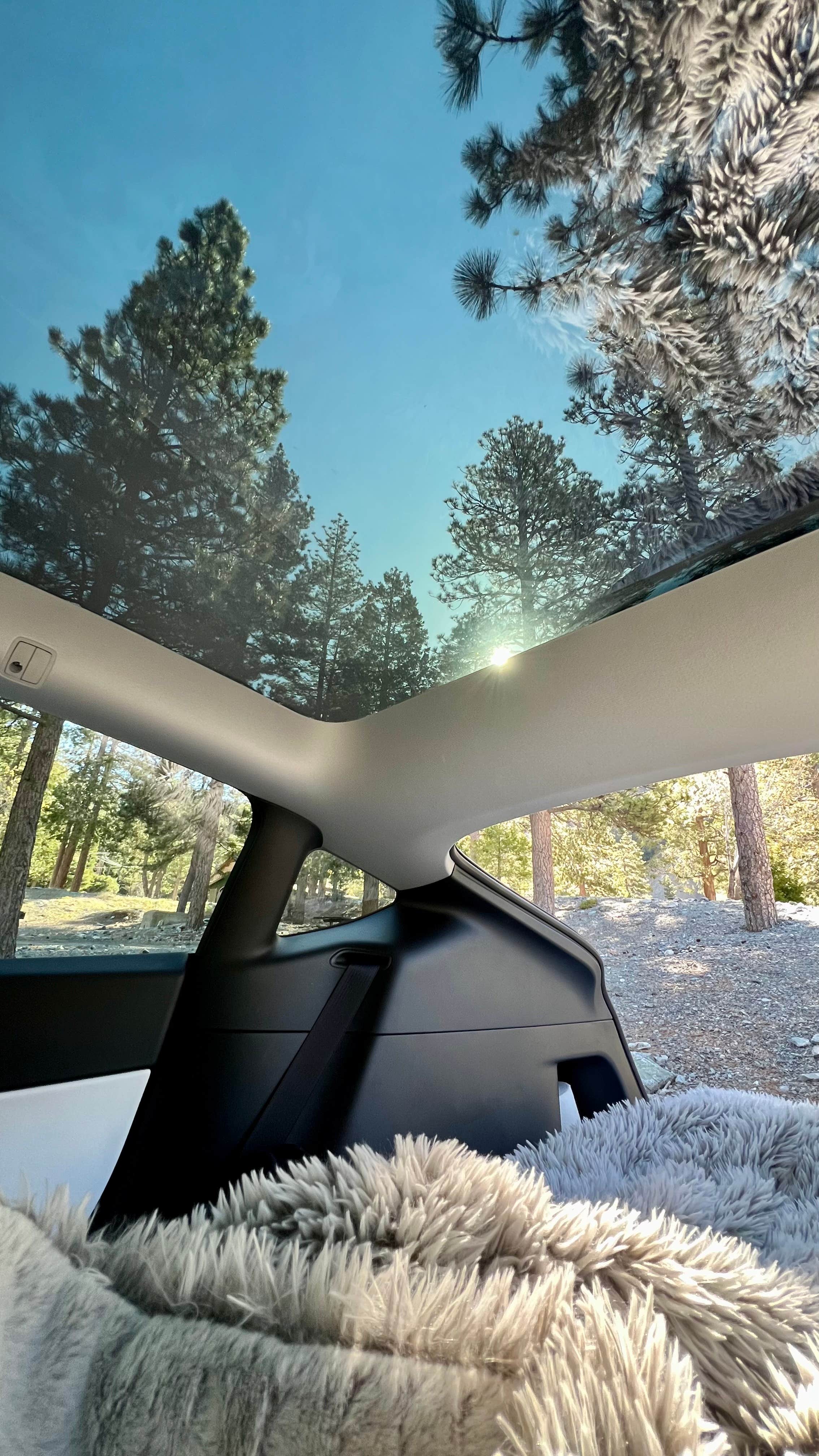 Camper-submitted photo at Manker Campground near Mount Baldy, CA