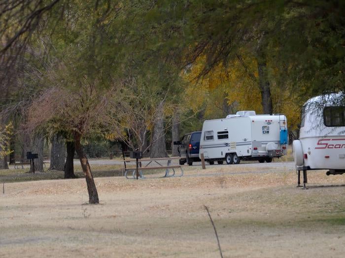 Two travel trailers in campsite with trees lining the sites and roadway



Cottonwood Campground with travel trailers

Credit: NPS