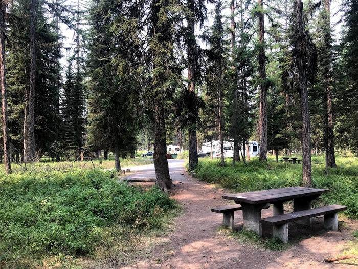Camper submitted image from River Point Lolo Campground (Mt) — Lolo National Forest - 3