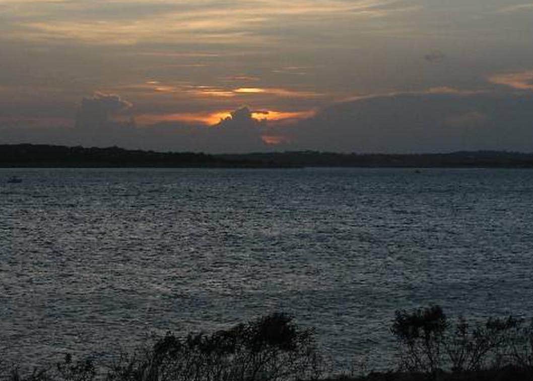 View All
