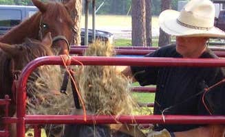 The Dyrt's photo of camping with a horse at Ebenezer Park near National Forests and Grasslands in Texas