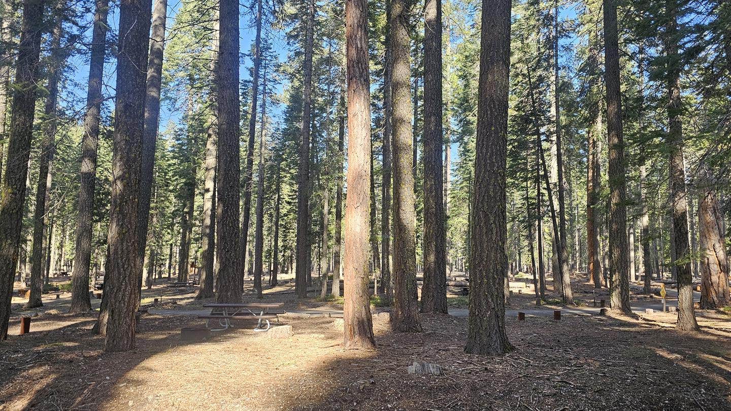 Camper submitted image from Gurnsey Creek - 2