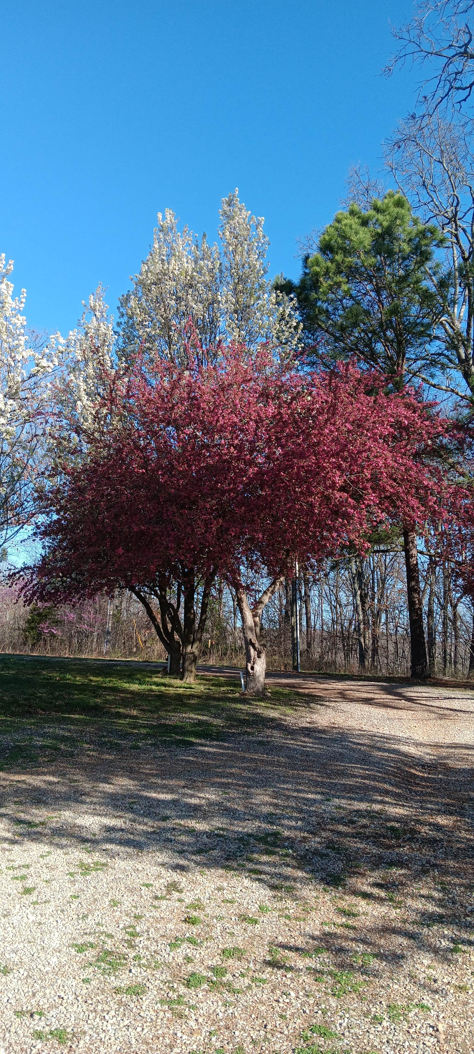 Camper-submitted photo at Fourche Creek Rv Park and Riding Trails near Ellington, MO