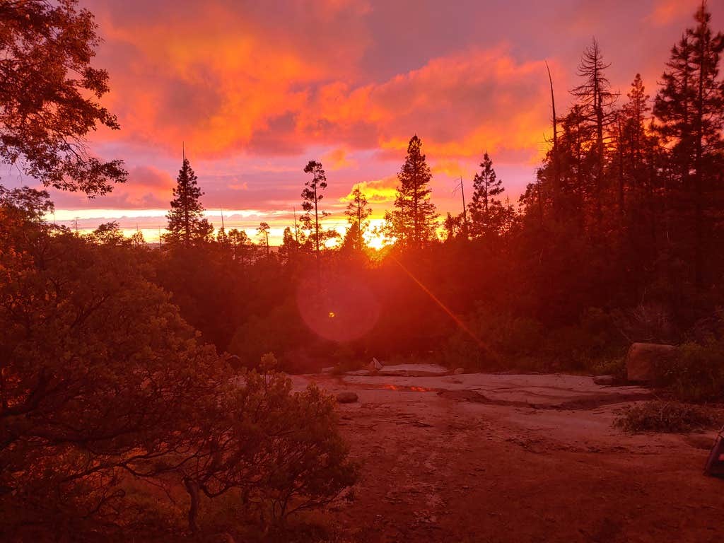 Camper-submitted photo at Musick Creek Falls near Shaver Lake, CA
