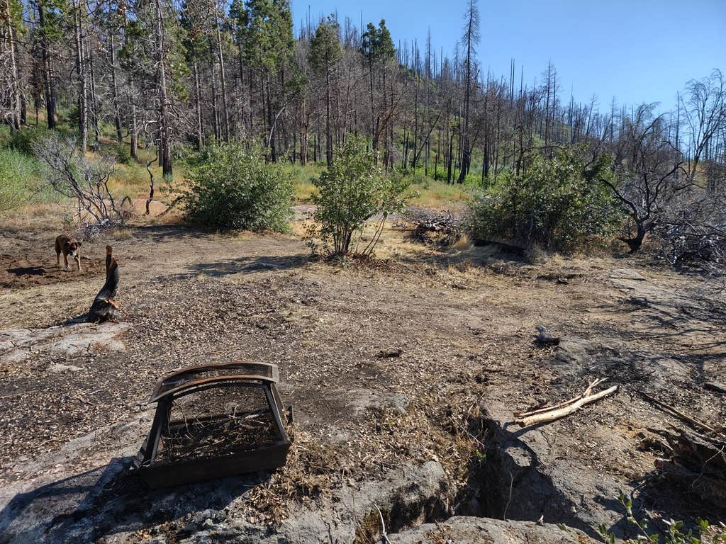 Joe B.'s photo of camping with pets at Musick Creek Falls near Fresno, CA