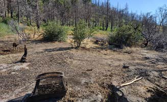 Joe B.'s photo of camping with pets at Musick Creek Falls near Sierra National Forest