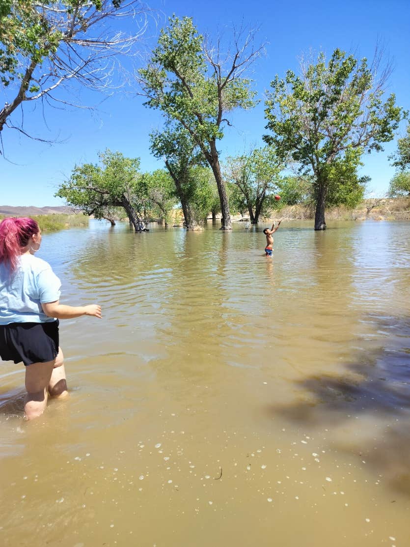 Camper submitted image from Dispersed Campgrounds — Lahontan State Recreation Area - 2