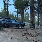 Review photo of FR 090 - dispersed camping by Andrew T., May 13, 2024