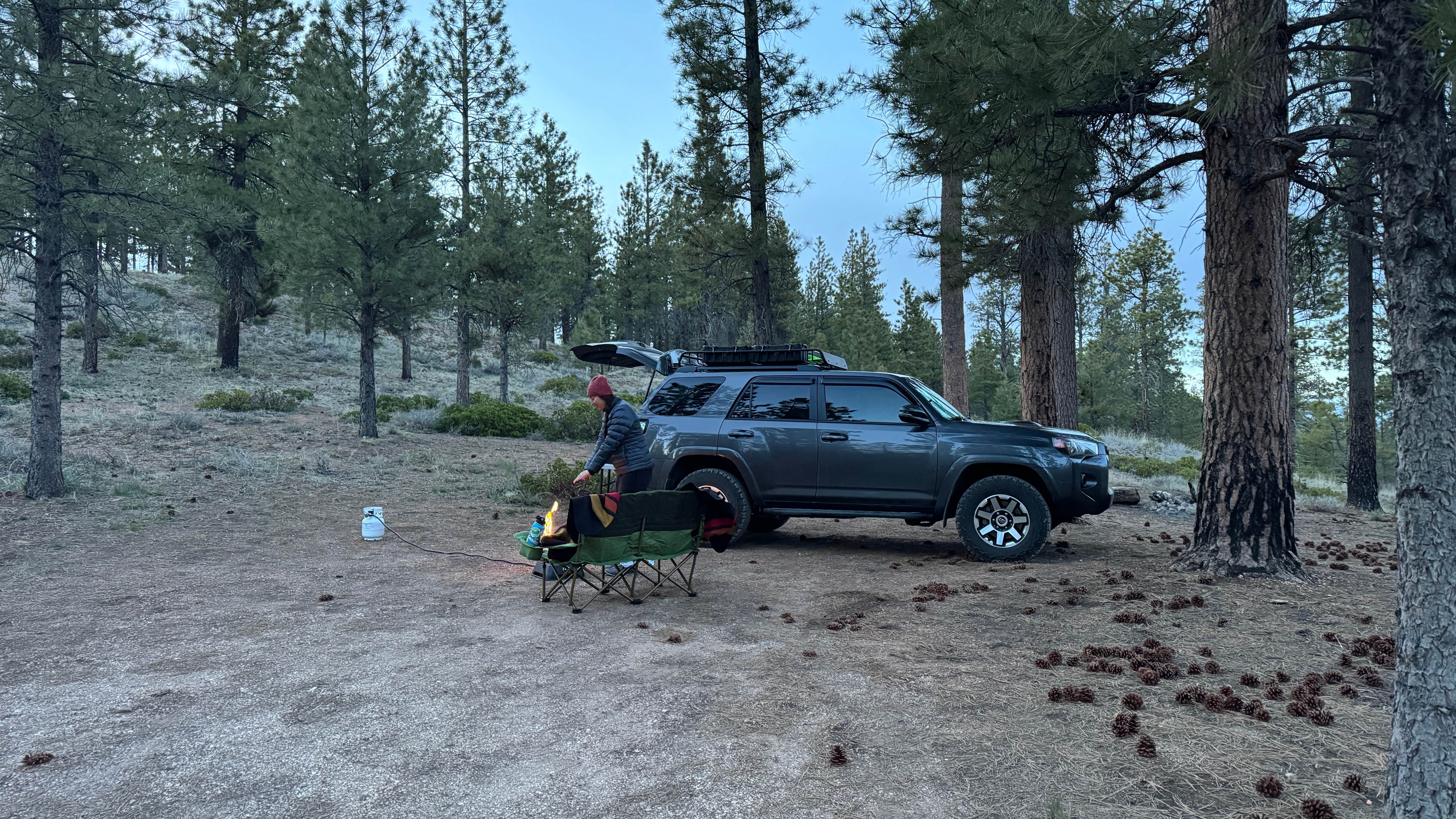 Camper submitted image from FR 090 - dispersed camping - 4