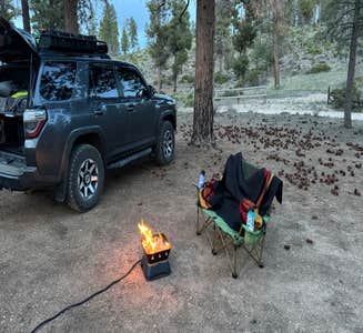 Camper-submitted photo from FR 090 - dispersed camping