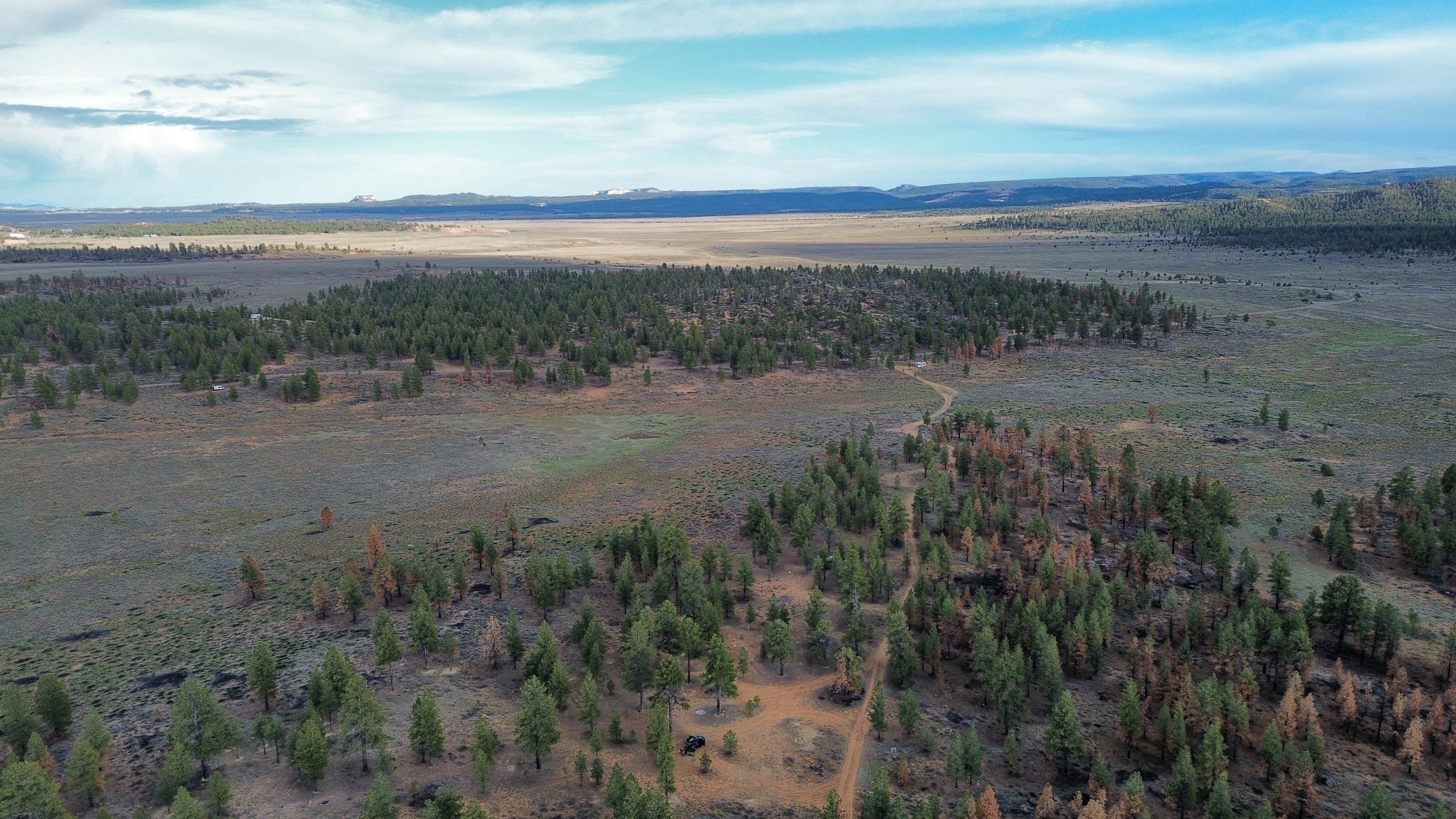 Camper-submitted photo at Uinta Flat Dispersed near Duck Creek Village, UT