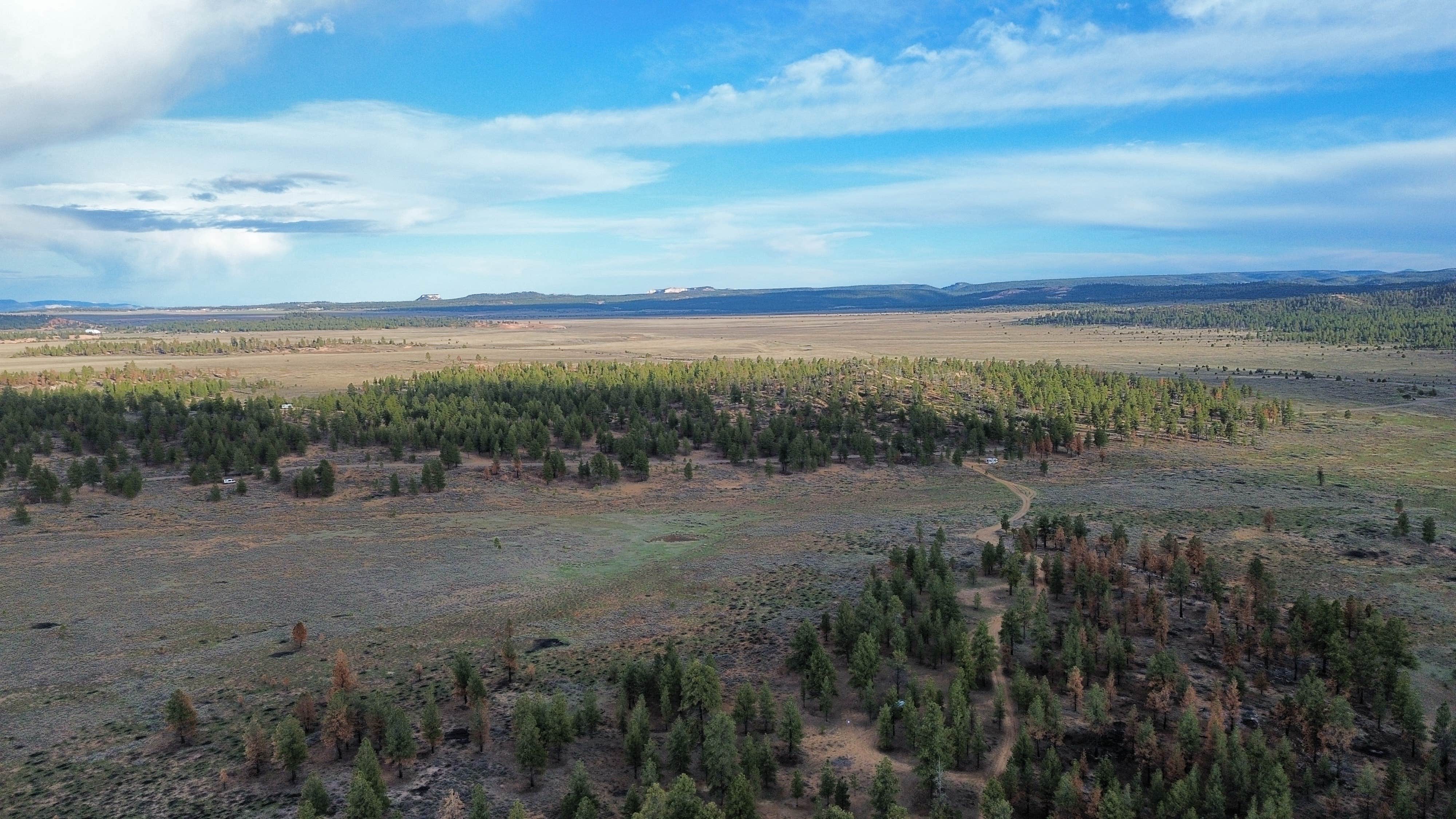 Camper-submitted photo at Uinta Flat Dispersed near Duck Creek Village, UT