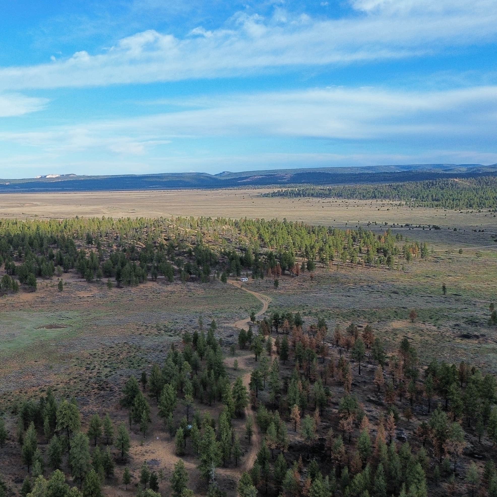 Uinta Flat Dispersed Camping | Duck Creek Village, UT