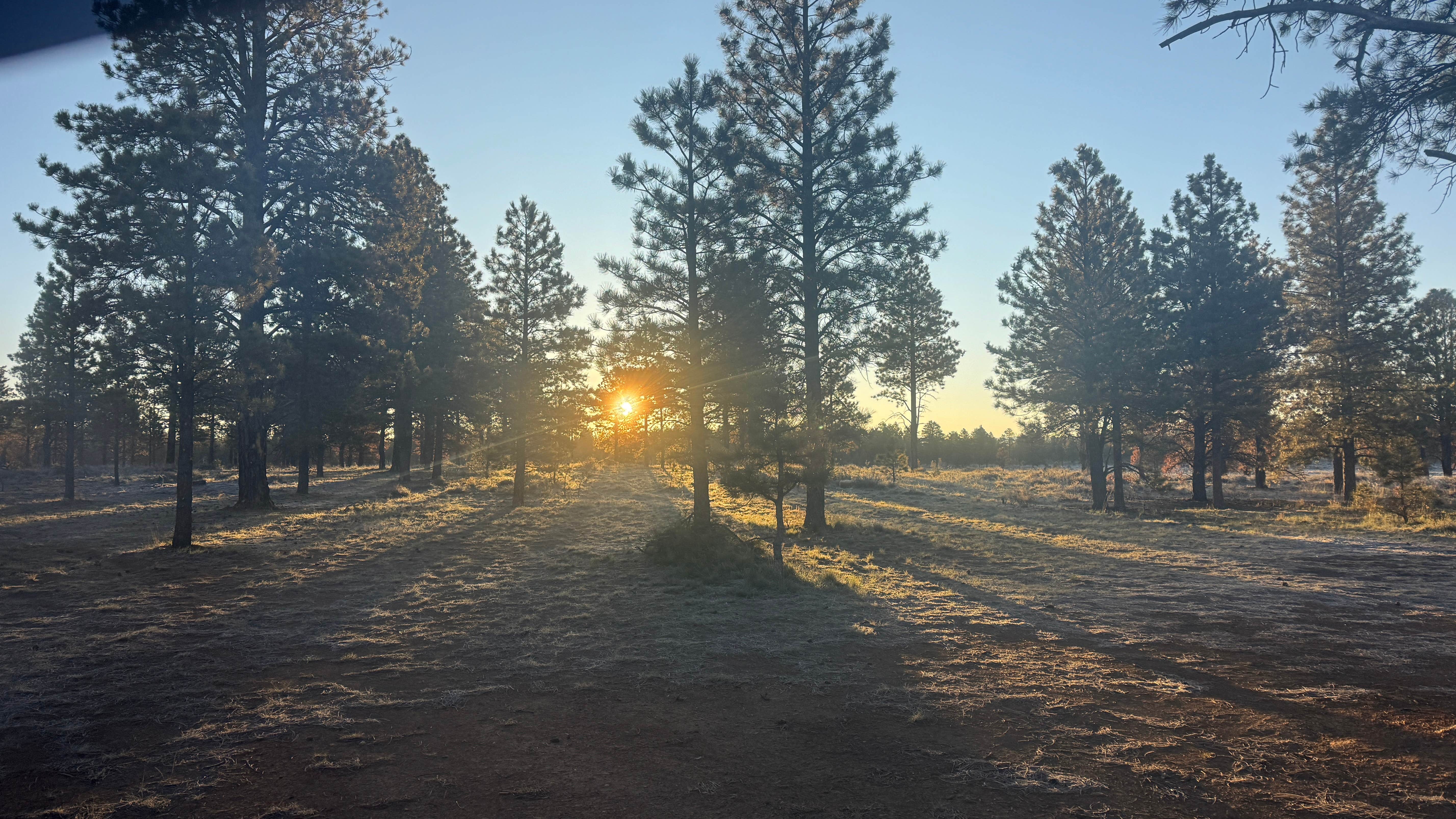 Camping near Duck Creek Village - Dispersed Camping: Uinta Flat Dispersed, Duck Creek Village, Utah