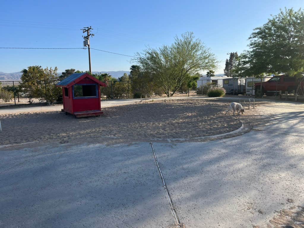 Jason M.'s photo of camping with pets at Joshua Tree Lake RV & Campground near Twentynine Palms, CA
