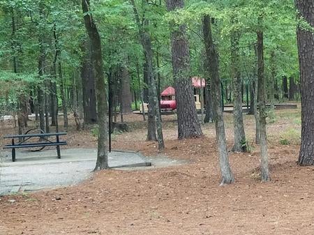 Campsite and playground in Malden Lake Campground.



Credit:
