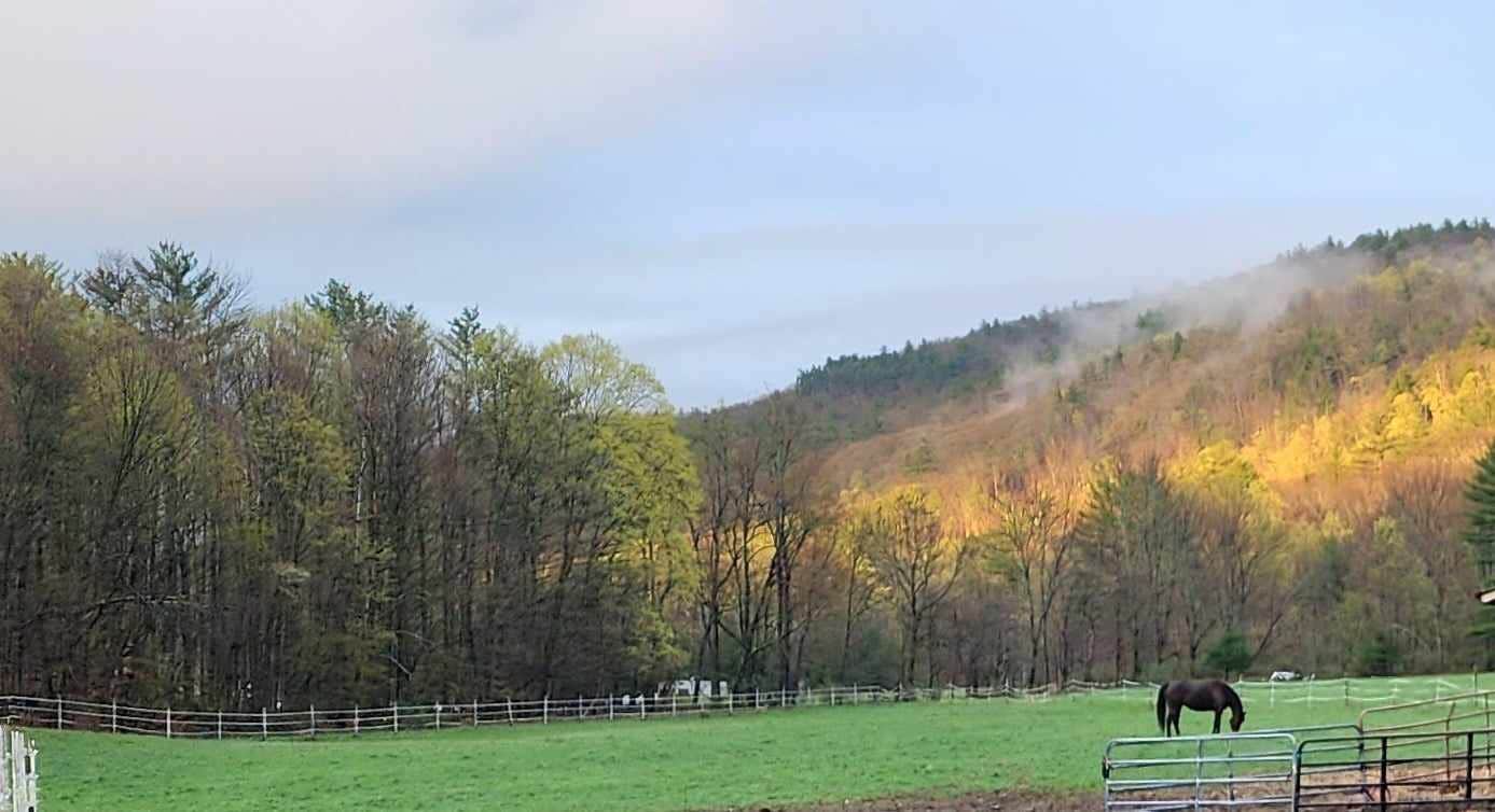 Camper-submitted photo at Camden Creek Farm near Round Lake, NY