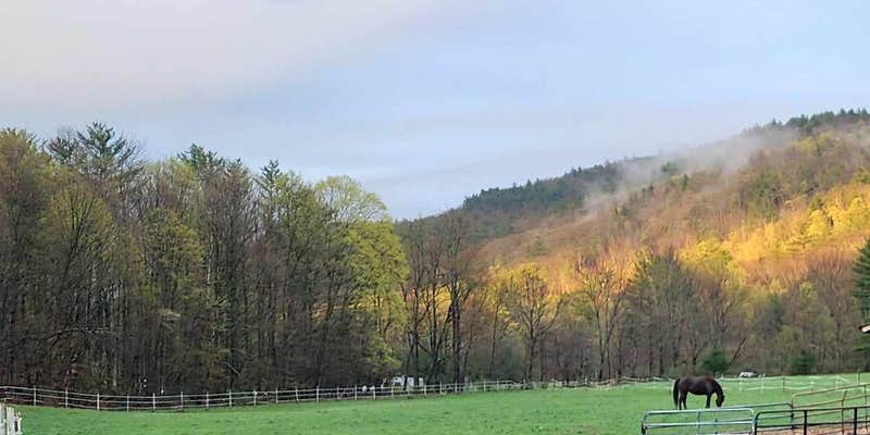 Camper submitted image from Camden Creek Farm