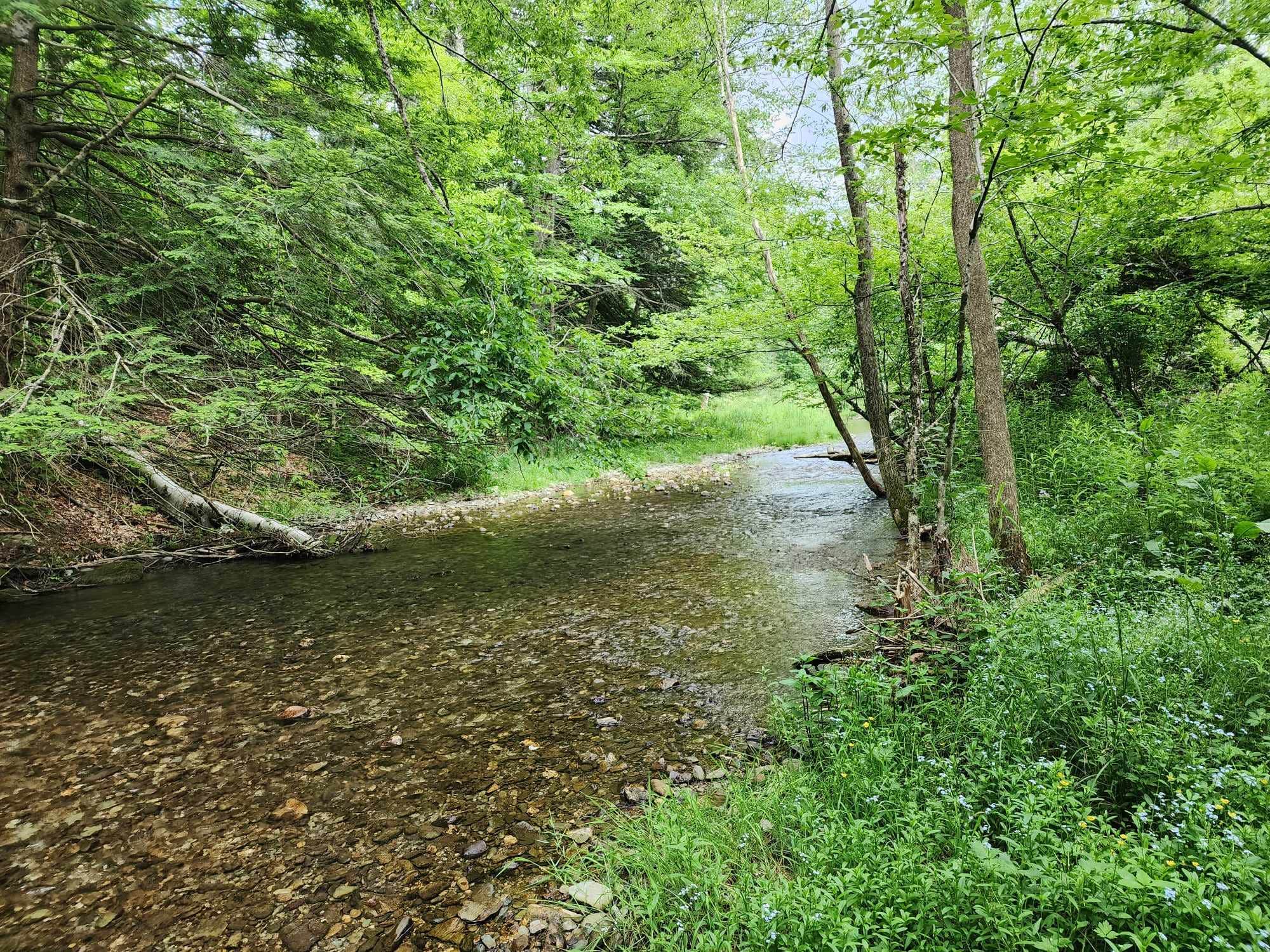 Camper submitted image from Camden Creek Farm - 2