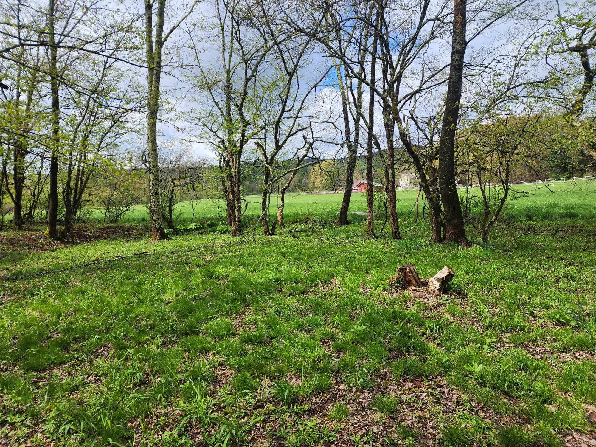 Camper-submitted photo at Camden Creek Farm near Round Lake, NY