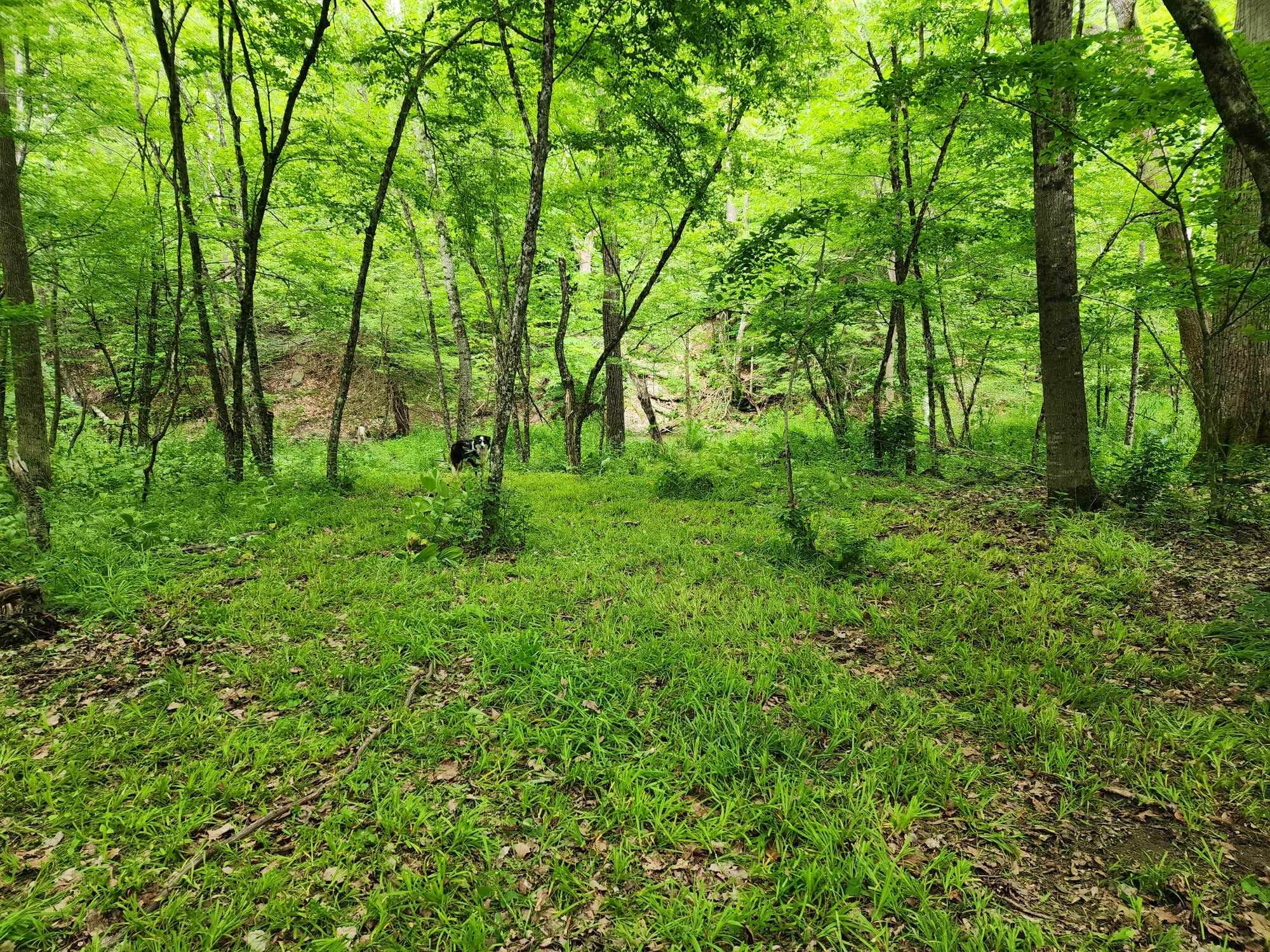 Camper-submitted photo at Camden Creek Farm near Round Lake, NY