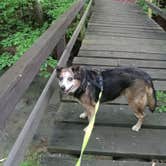 Review photo of Spacious Skies Hidden Creek by Ann B., May 13, 2024