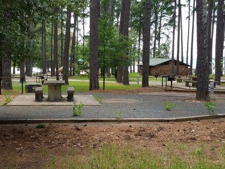 Camper submitted image from Piney Point - 1