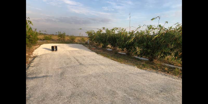 Camper submitted image from Joy Bamboo Forest Farm