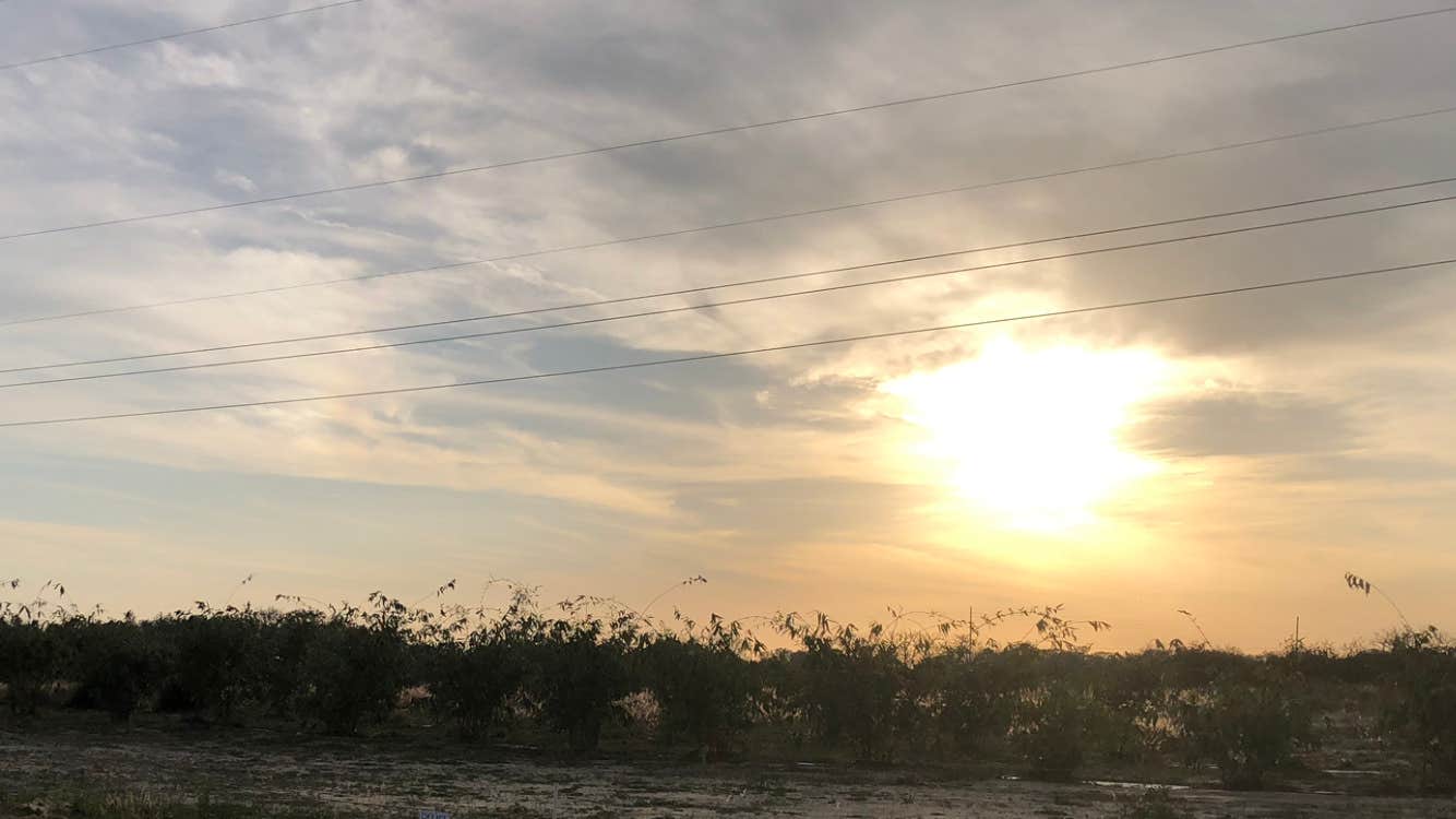 Camper-submitted photo at Joy Bamboo Forest Farm near Sebring, FL