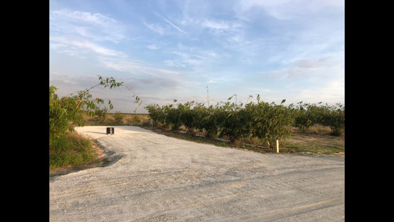 Camper-submitted photo at Joy Bamboo Forest Farm near Sebring, FL
