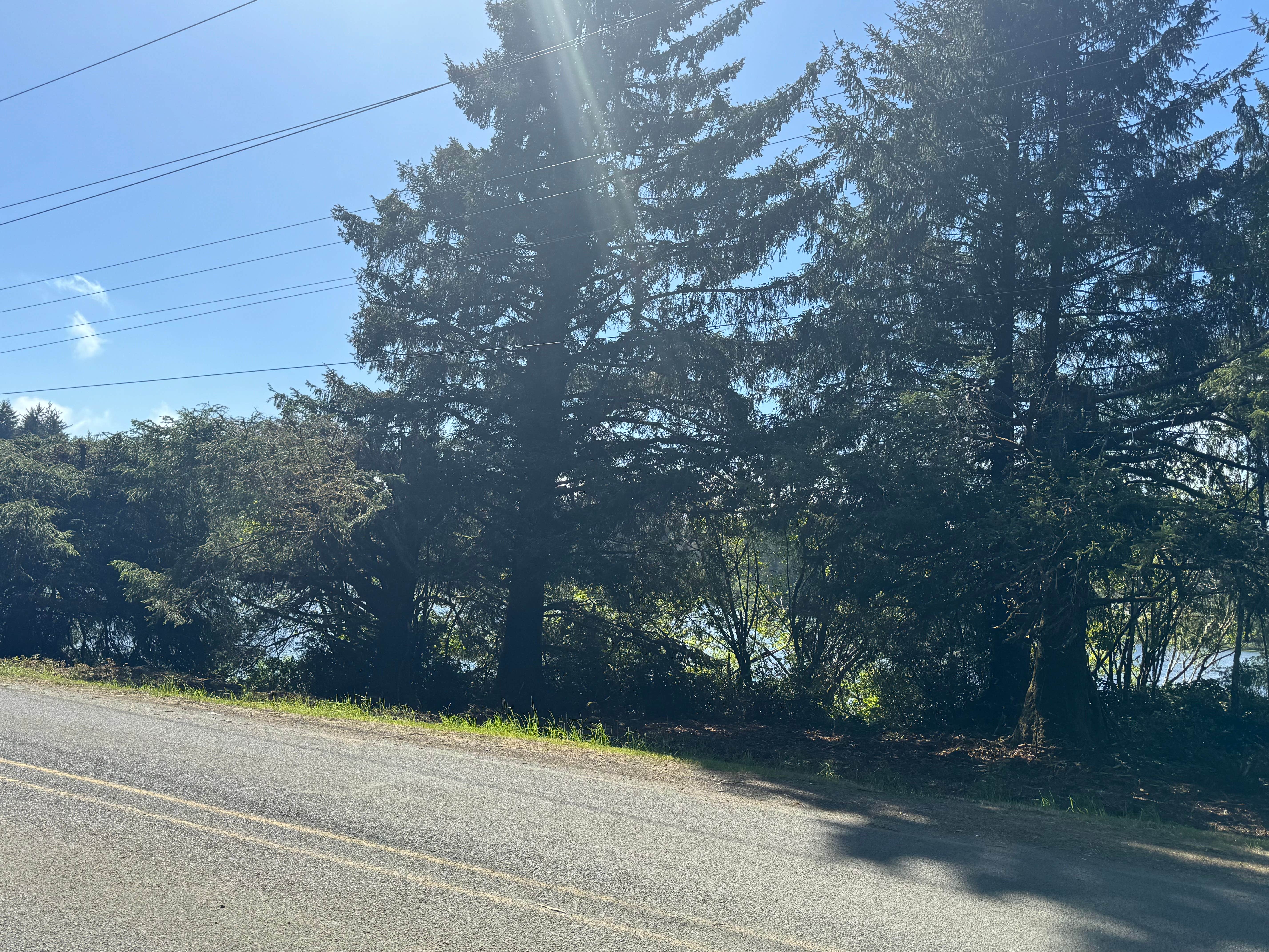 Camper-submitted photo at Eckman Lake Private Paradise near Newport, OR