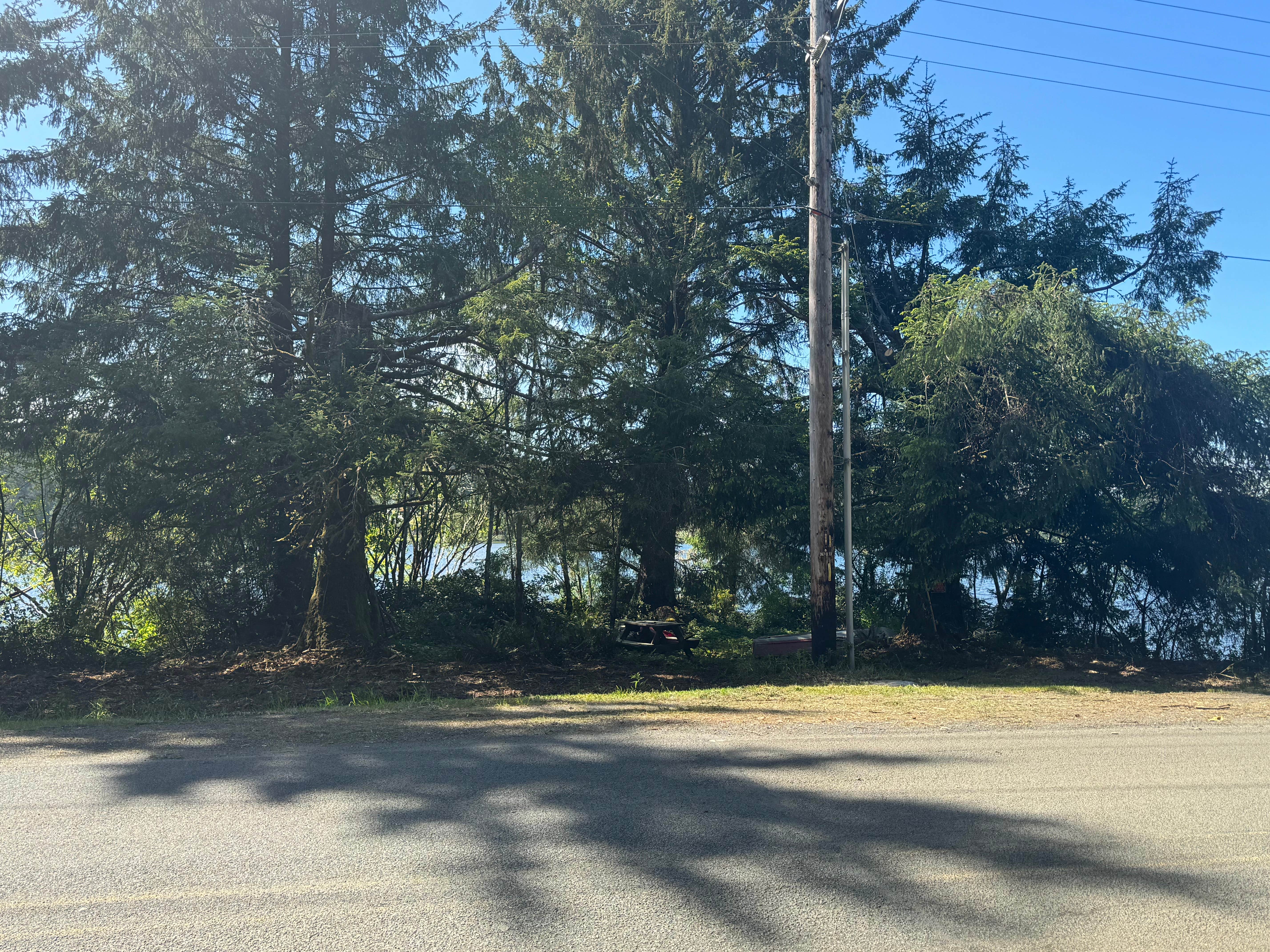 Camper-submitted photo at Eckman Lake Private Paradise near Newport, OR