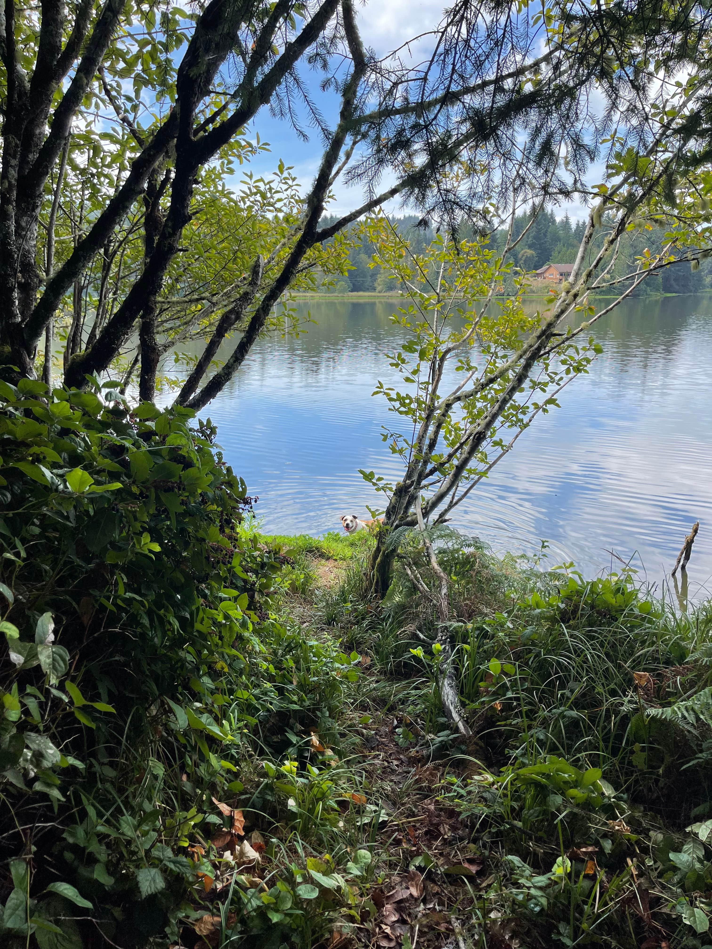 Camper-submitted photo at Eckman Lake Private Paradise near Newport, OR